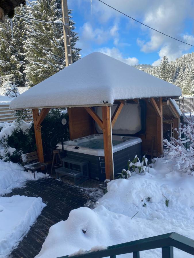 Maison La Deviniere - Sauna Et Spa Compris Accessibles Toute L'Annee Xonrupt-Longemer Bagian luar foto