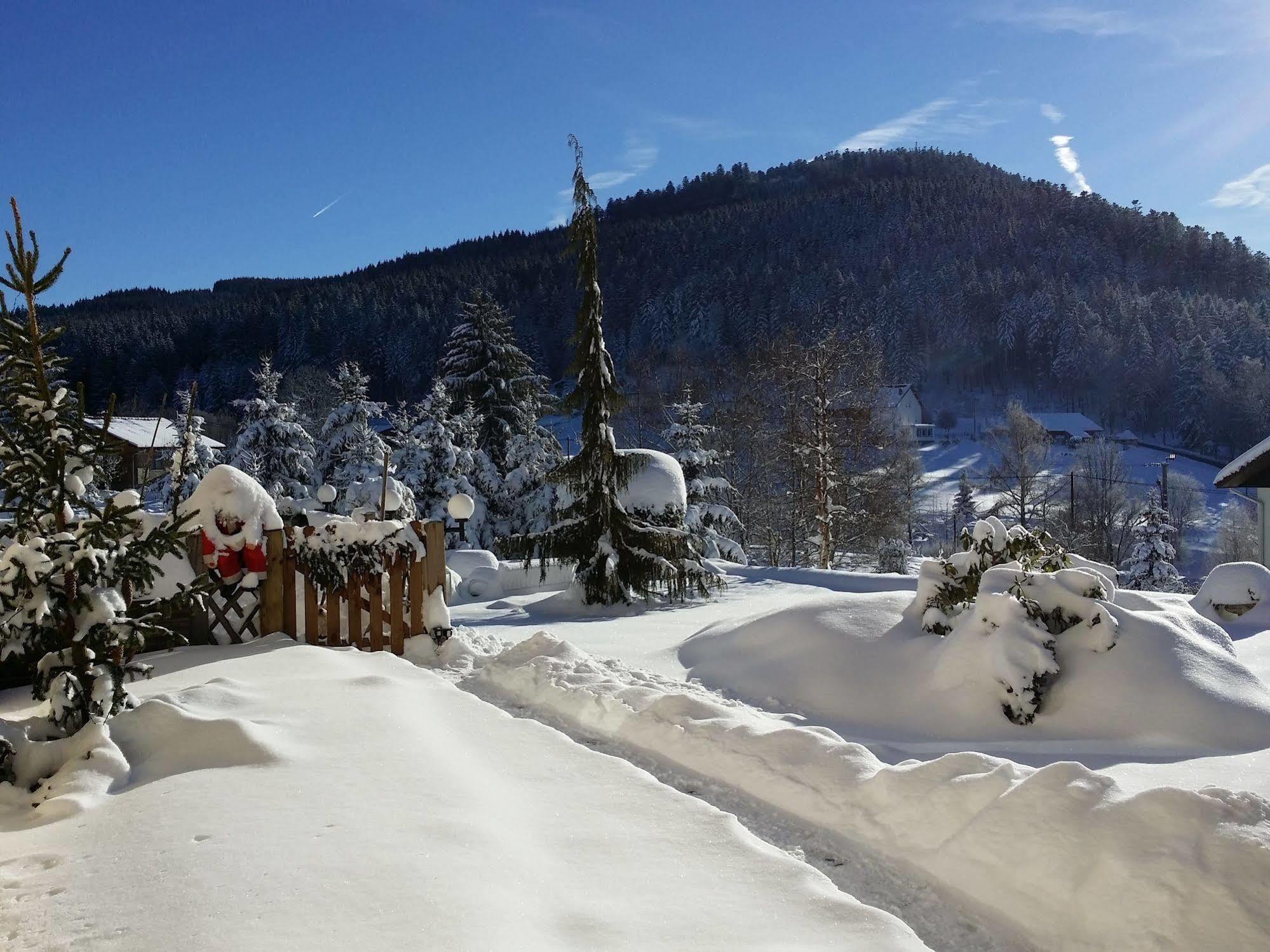 Maison La Deviniere - Sauna Et Spa Compris Accessibles Toute L'Annee Xonrupt-Longemer Bagian luar foto