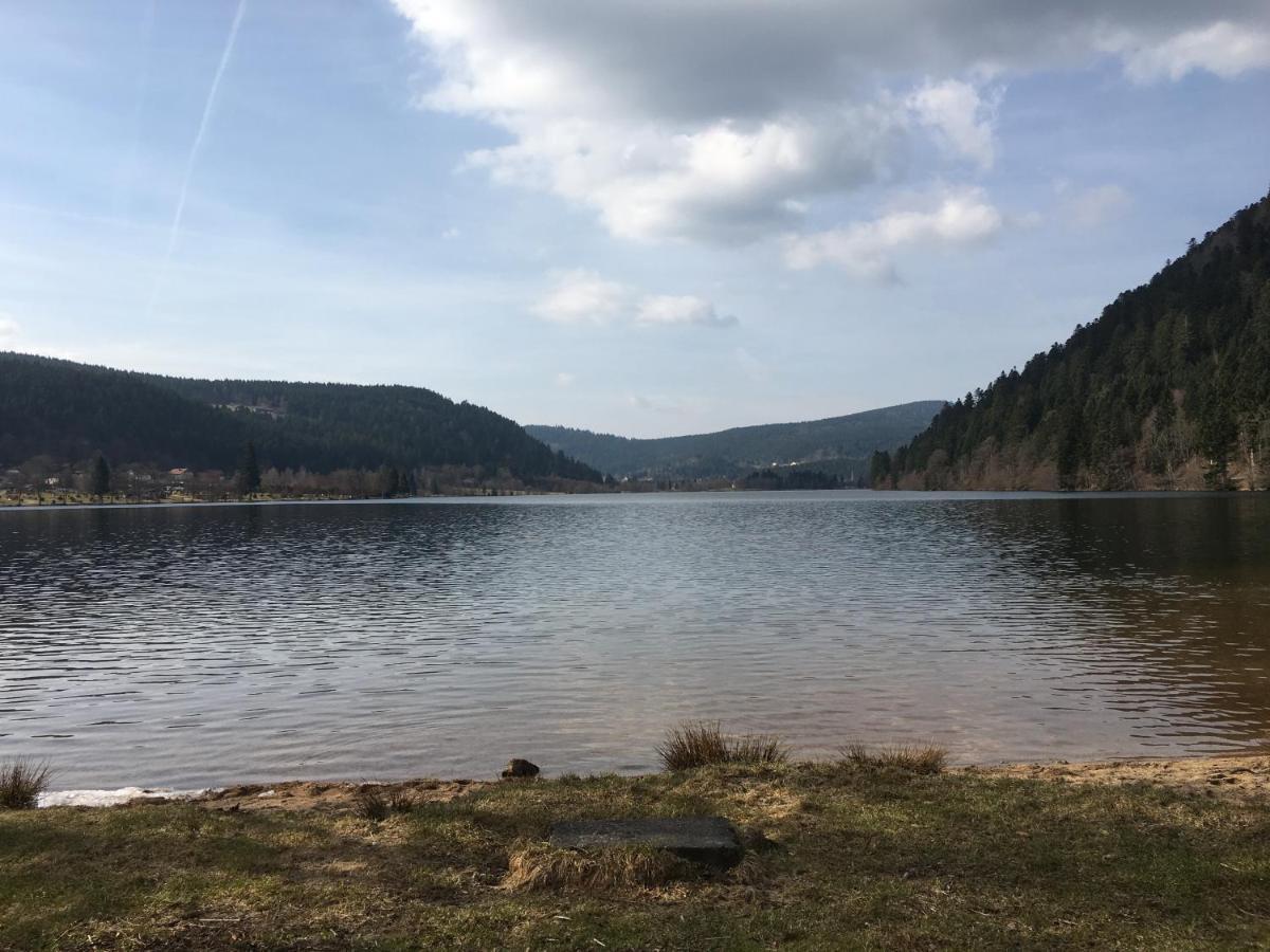 Maison La Deviniere - Sauna Et Spa Compris Accessibles Toute L'Annee Xonrupt-Longemer Bagian luar foto